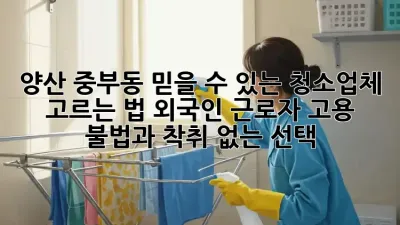 양산 중부동 믿을 수 있는 청소업체 고르는 법: 외국인 근로자 고용, 불법과 착취 없는 선택