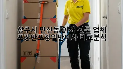 상주시 만산동 이사 전문 업체: 포장/반포장/일반이사 비교분석